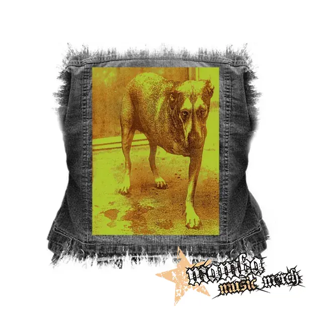 ALICE IN CHAINS - Alice In Chains - chrbtová nášivka (36 x 27 cm)