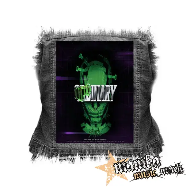STRAY KIDS - ODDINARY - chrbtová nášivka (36 x 27 cm)