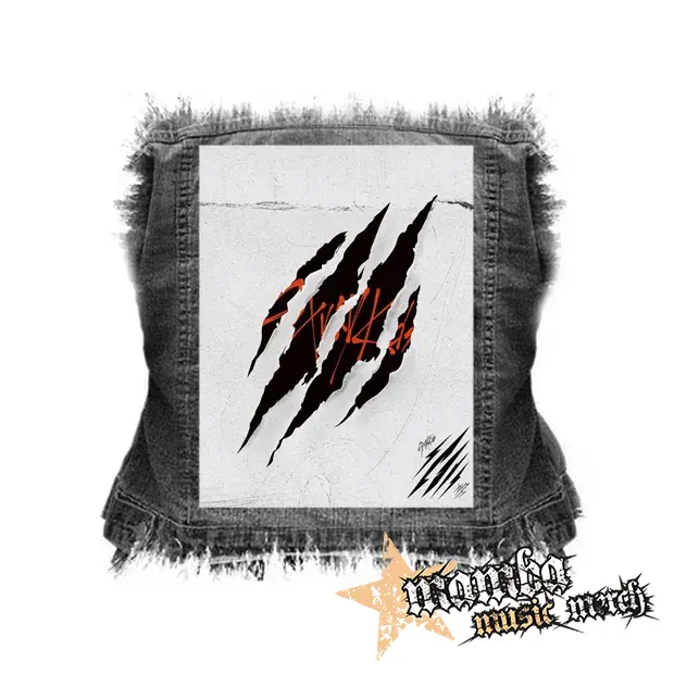 STRAY KIDS - Thunderous - chrbtová nášivka (36 x 27 cm)