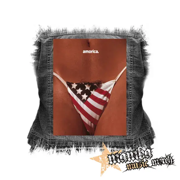 THE BLACK CROWES - Amorica - chrbtová nášivka (36 x 27 cm)