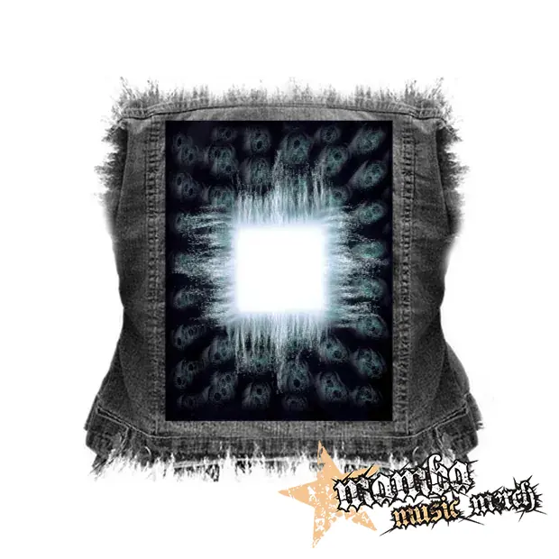 TOOL - Aenima - chrbtová nášivka (36 x 27 cm)