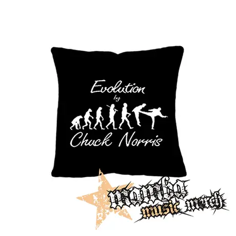 CHUCK NORRIS - Evolution By Chuck Norris - vankúš